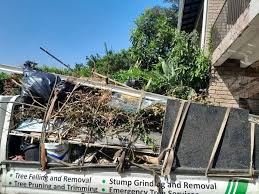 Best Hoarding Cleanup in USA